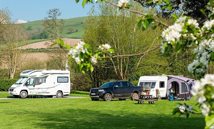 Perfect for tenting with designated area.